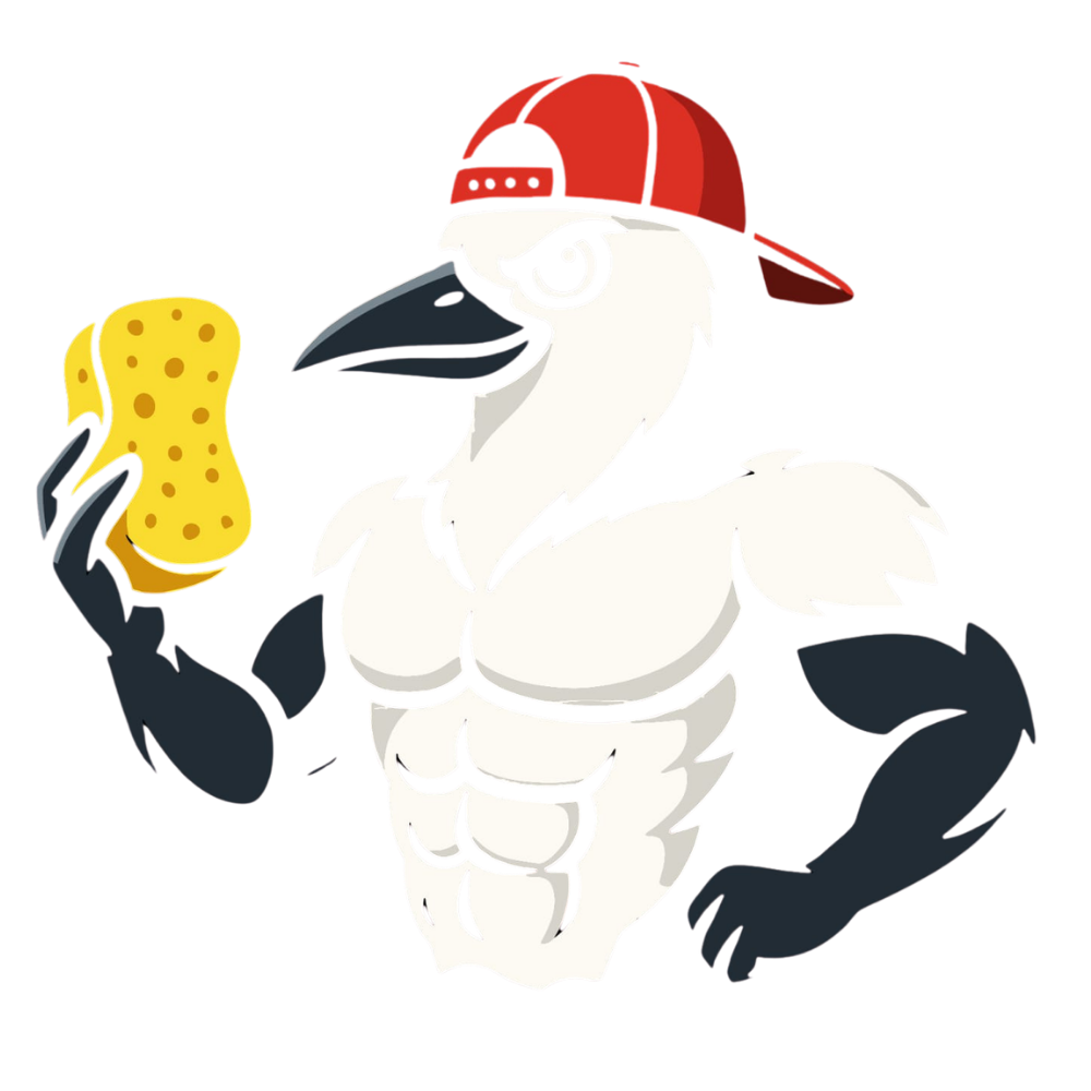 Magpie Detailing